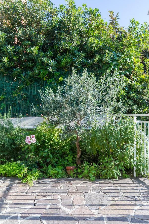Casa Ceroni Διαμέρισμα Ρώμη Εξωτερικό φωτογραφία